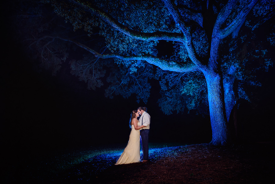 Downtown Pensacola Wedding, Kerri + Cody standing under blue tree, Lazzat Photography